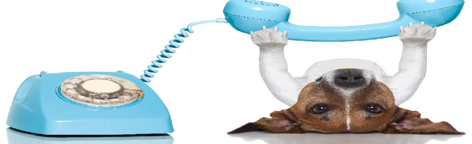 All That Electronics Products